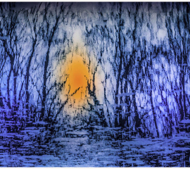 Stonegrave Pond 2009, Archival pigment print